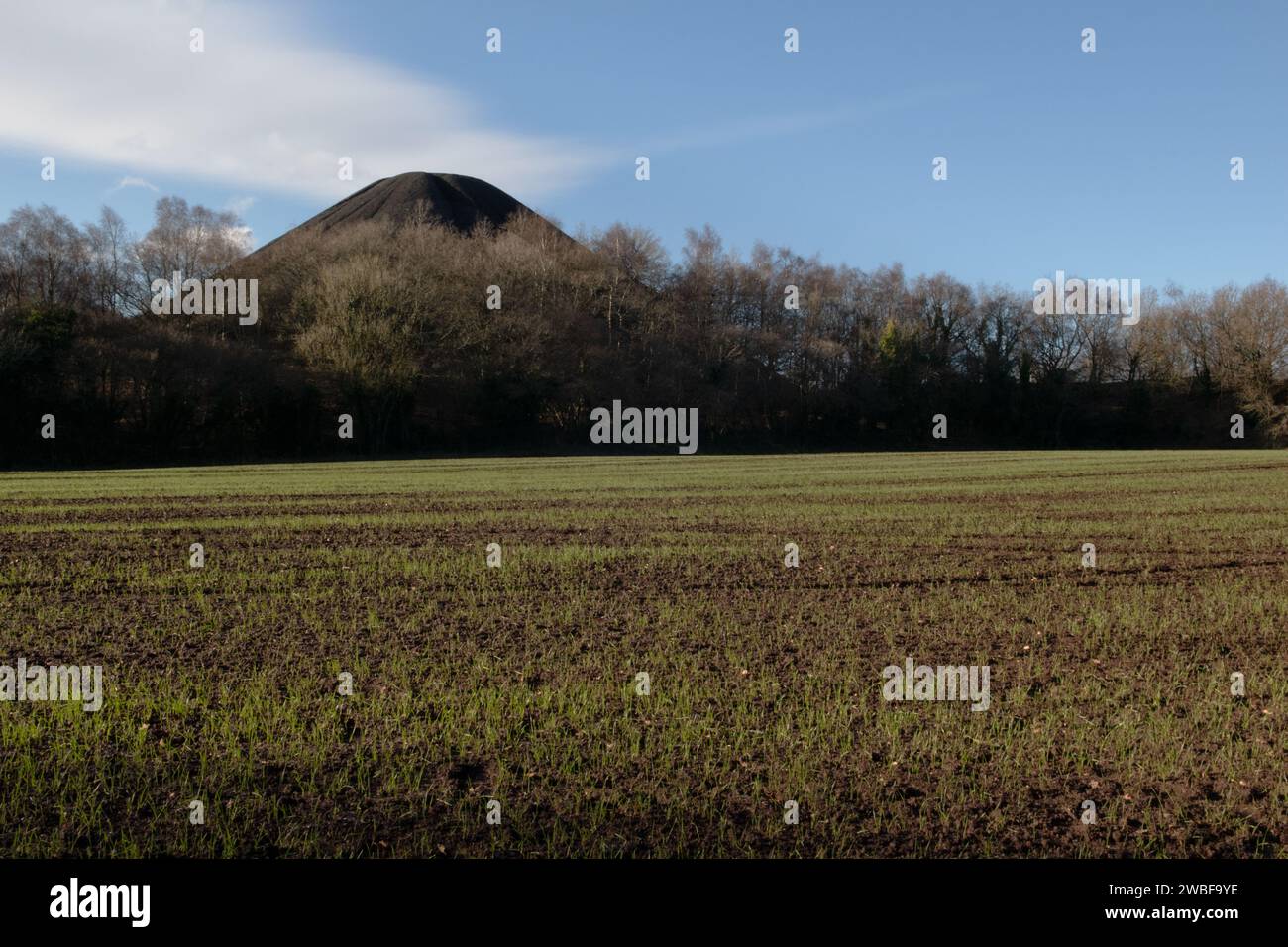 Spoil Heap, Paulton, Somerset, England Stock Photo Alamy