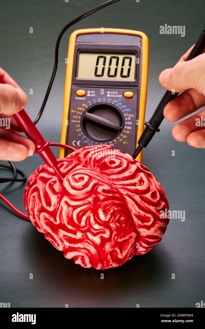 Representation of neuroscience, with a red brain and hands with a voltmeter measuring brain impulses. Stock Photo