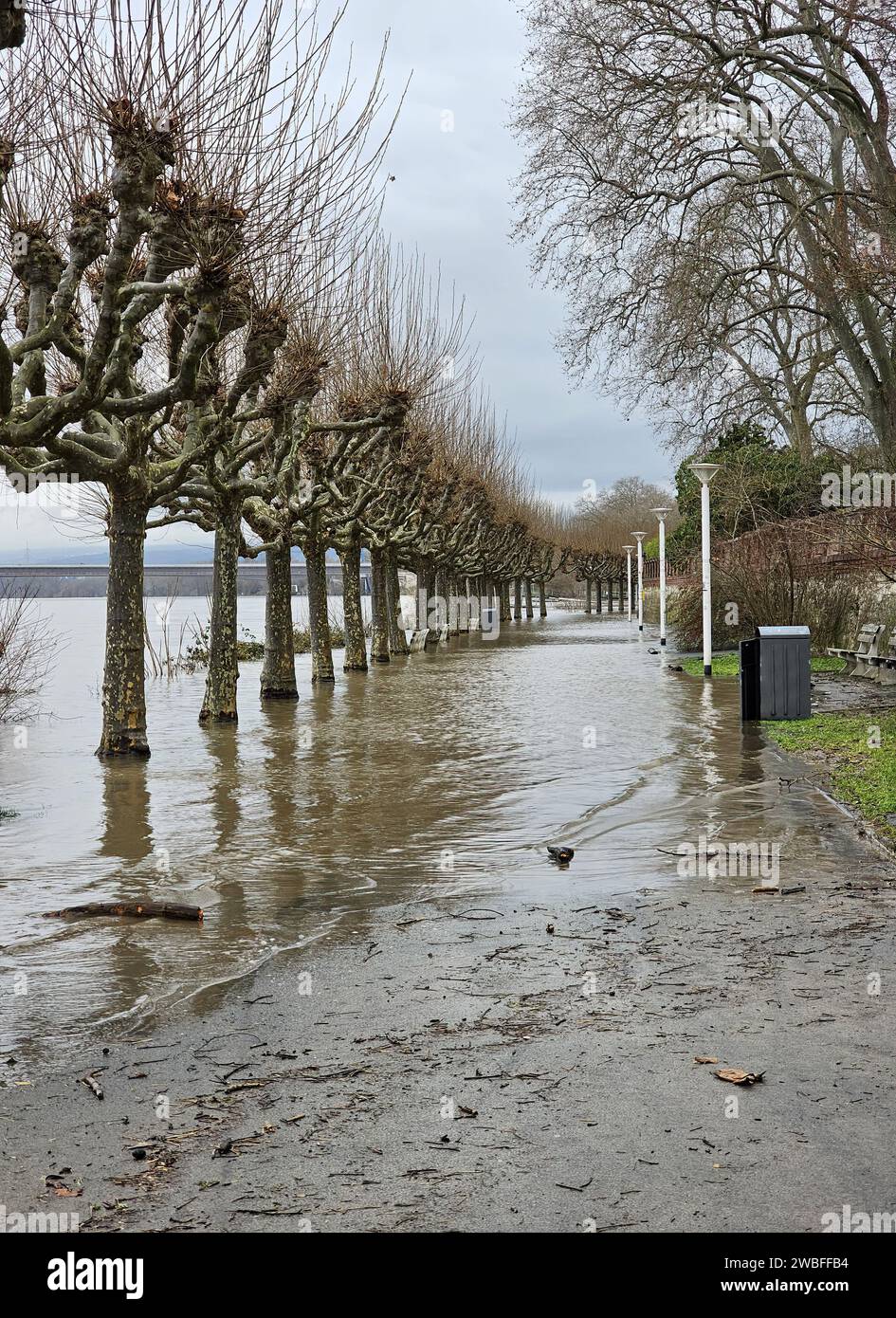 Flooding from the Main Promenade on the river bank in Wiesbaden Stock Photo