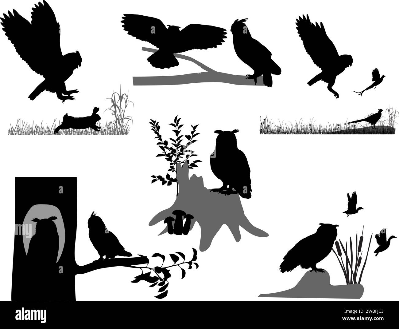 Silhouettes of owls and eagle-owls birds in wildlife and outdoors Stock Vector