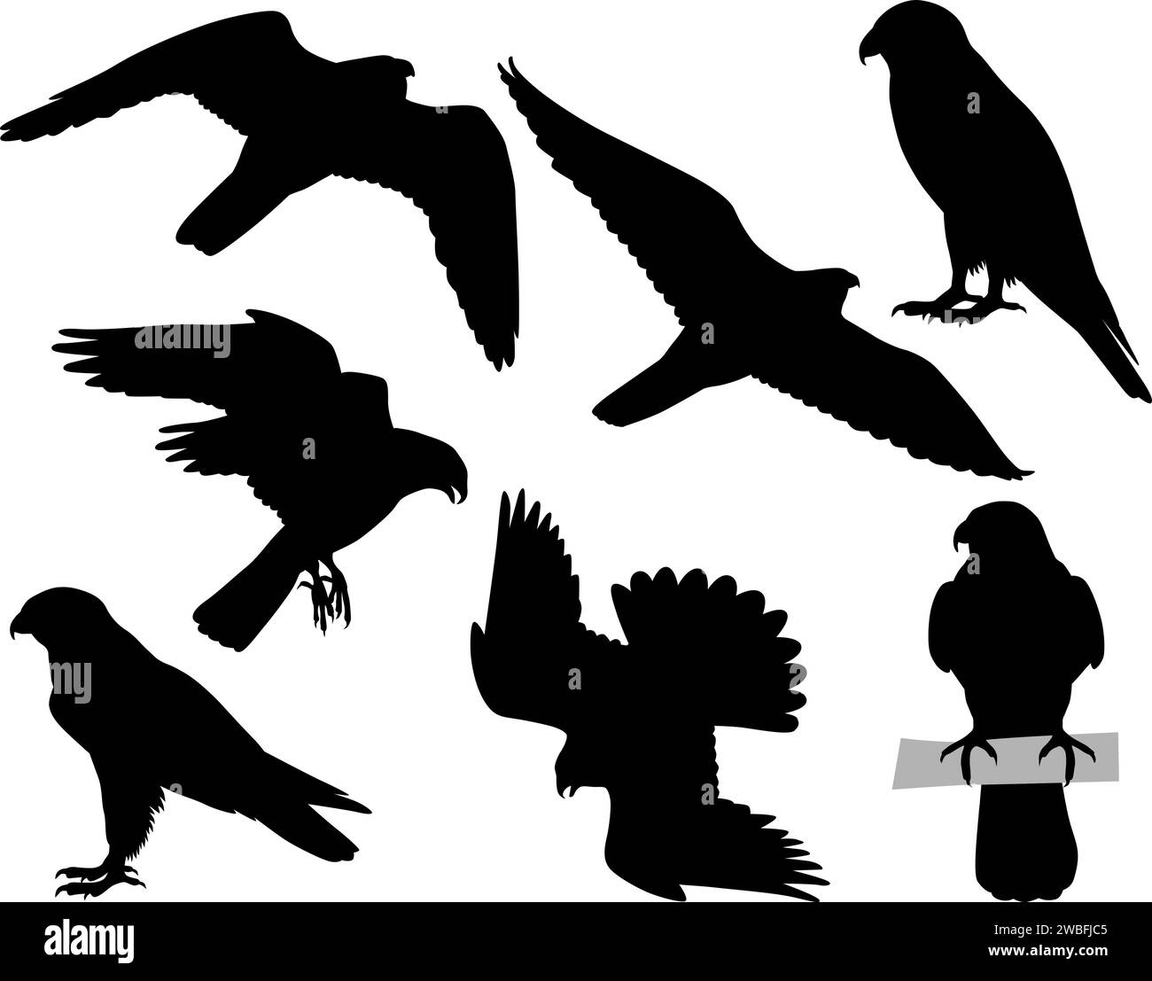 Birds Of Prey Cliparts, Stock Vector and Royalty Free Birds Of Prey  Illustrations