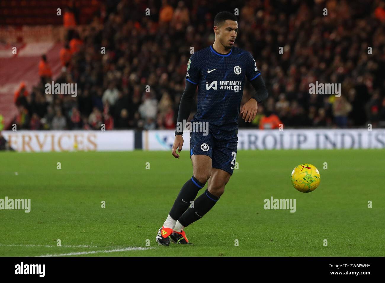 Mark colwill hi-res stock photography and images - Alamy