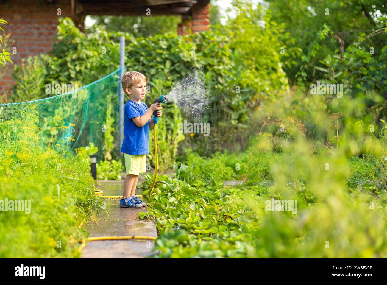Young Boy Watering Garden Plants with Hose Stock Photo - Alamy