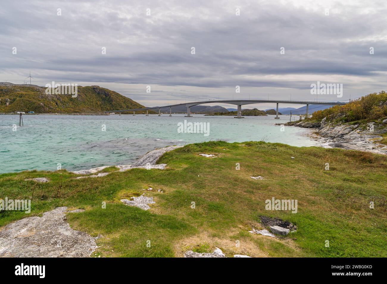 the bridge of Sommarøy, it curves majestically and crosses the Atlantic on the coast of Troms, Norway. autumnal colored plants on the shore of ocean Stock Photo