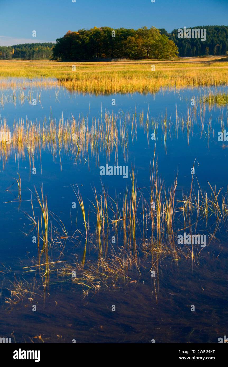 essex-estate-hi-res-stock-photography-and-images-alamy