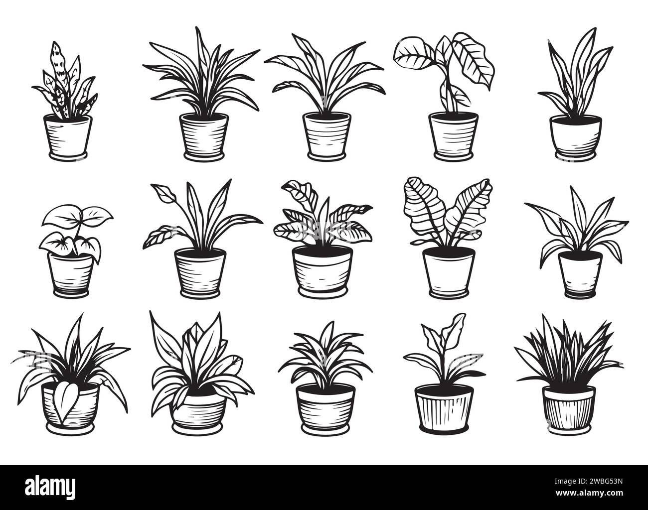 Set of Houseplants outline drawings. Indoor exotic flowers in pots line