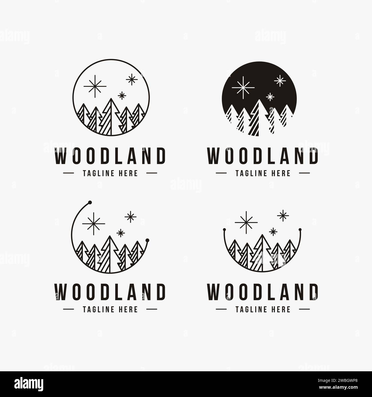 Pine tree forest logo, woodland logo icon vector template set on white ...