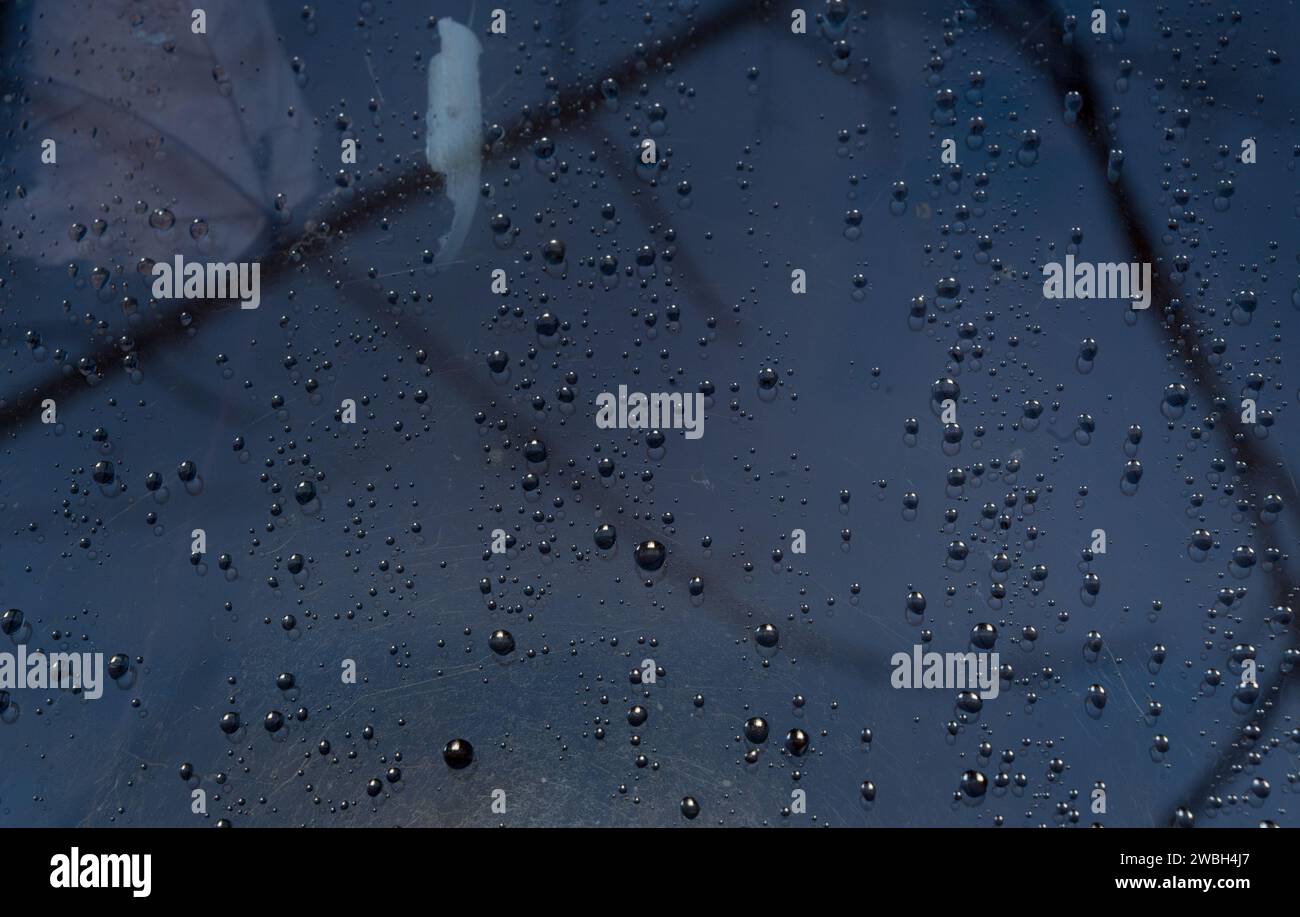 Water droplets on a window Stock Photo