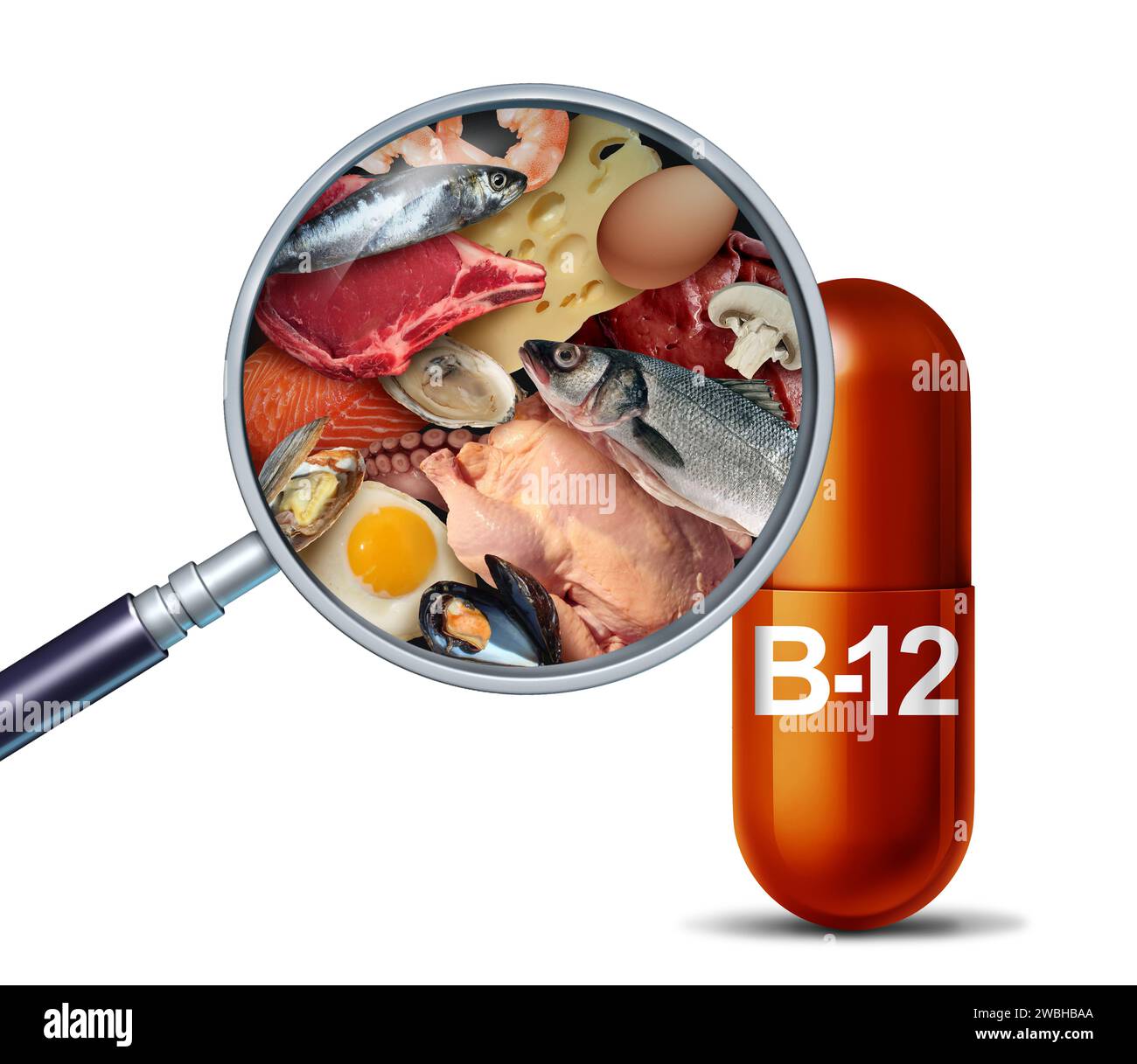 Vitamin B12 natural source nutritional supplement as cobalamin pill supplements as a capsule with beef liver and seafood inside a nutrient pill as a n Stock Photo