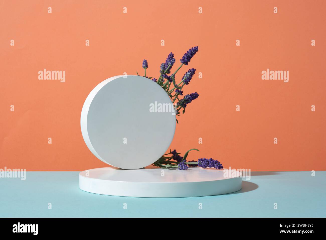 Front view of round white podiums with lavender flower on color background. Space for display product. Lavender has been used to reduce symptoms and p Stock Photo