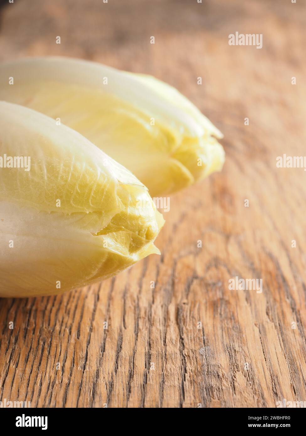 Close up of chicory on a wooden kitchen table with space for text or image Stock Photo