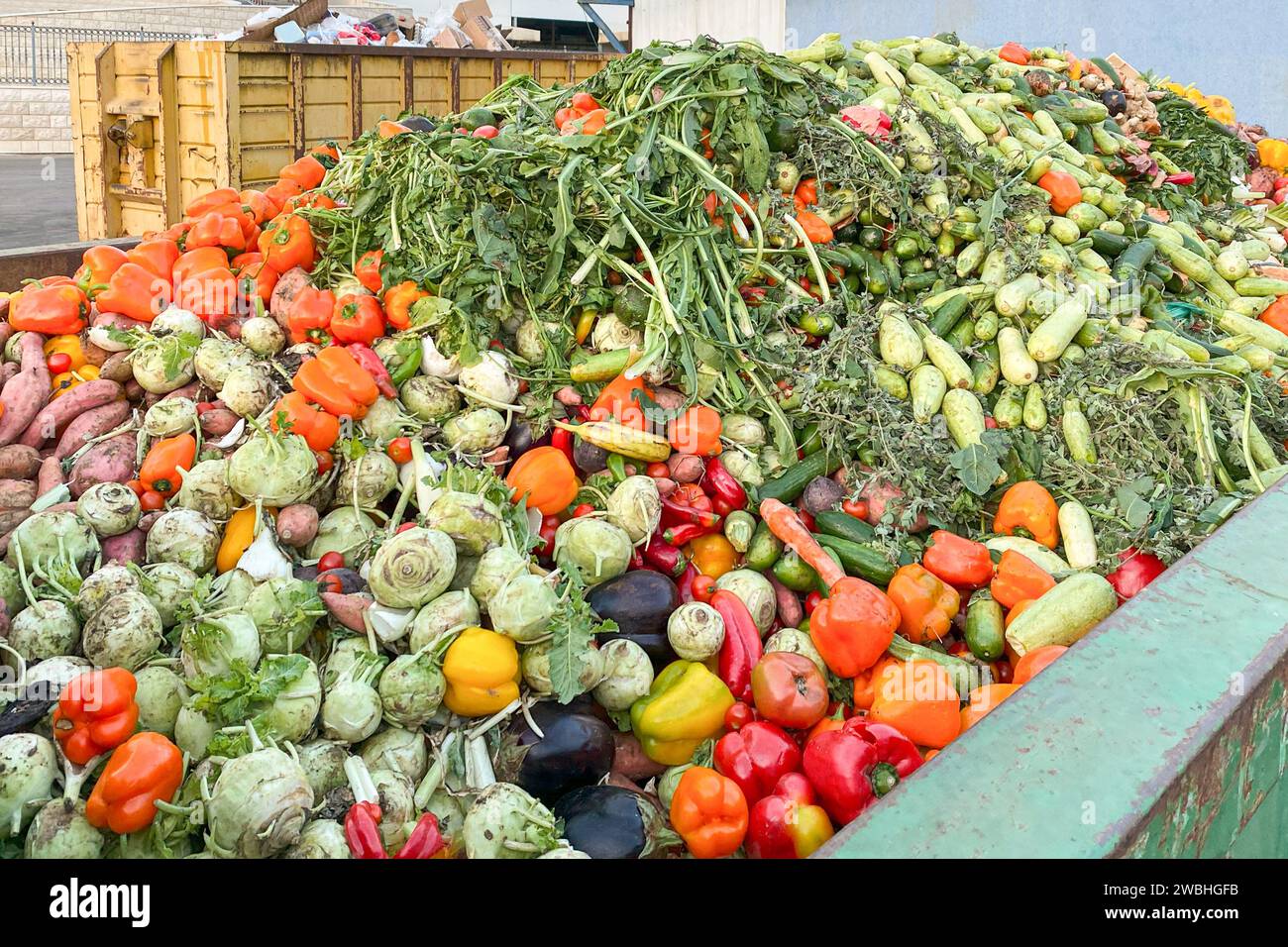 Heap of Mix expired Vegetables and fruits at harvest time. Organic bio waste in a huge container