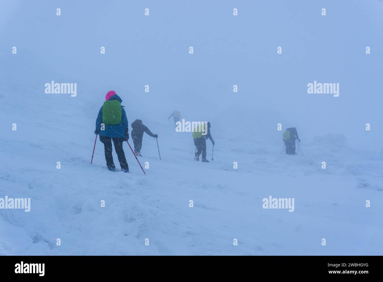 Team hikers trekking snowy hi-res stock photography and images - Alamy