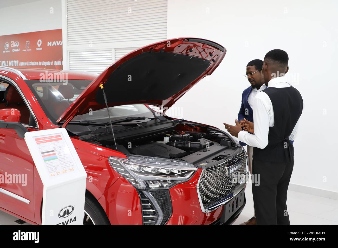Luanda, Angola. 10th Jan, 2024. A staff member introduces to a customer a new car manufactured