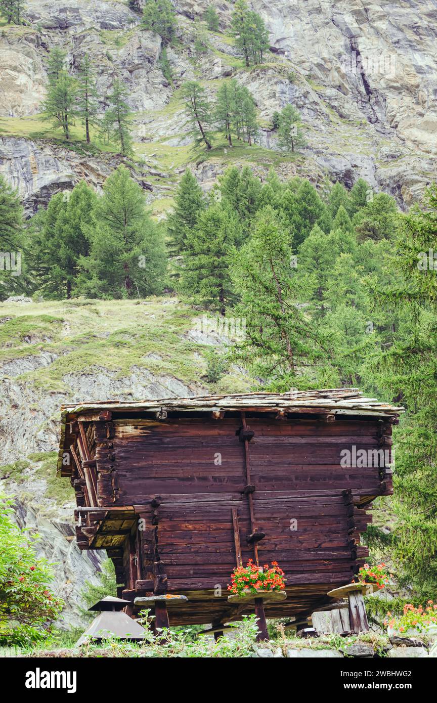 A rustic wooden cabin nestled in the rugged terrain of the Swiss Alps ...