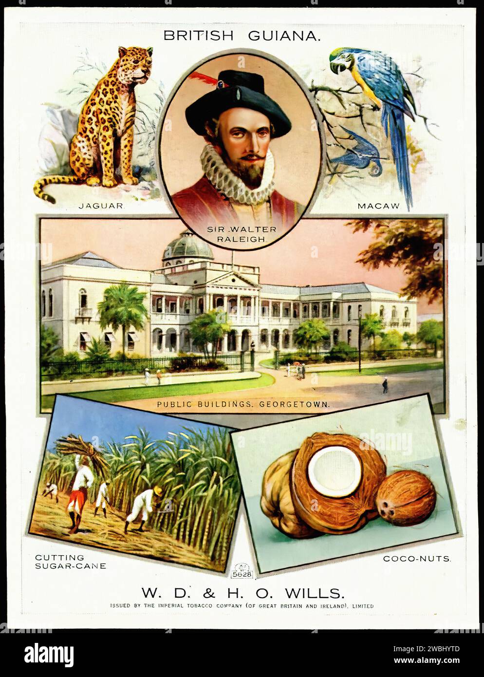 British Guiana (Guyana) - Vintage Cigarette Card Illustration Stock Photo