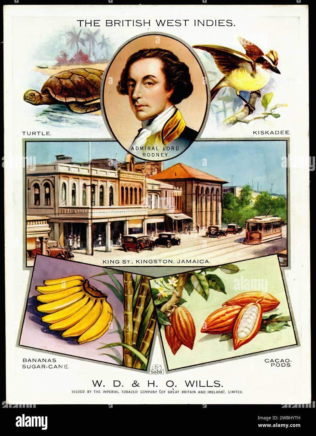 British West Indies - Vintage Cigarette Card Illustration Stock Photo ...