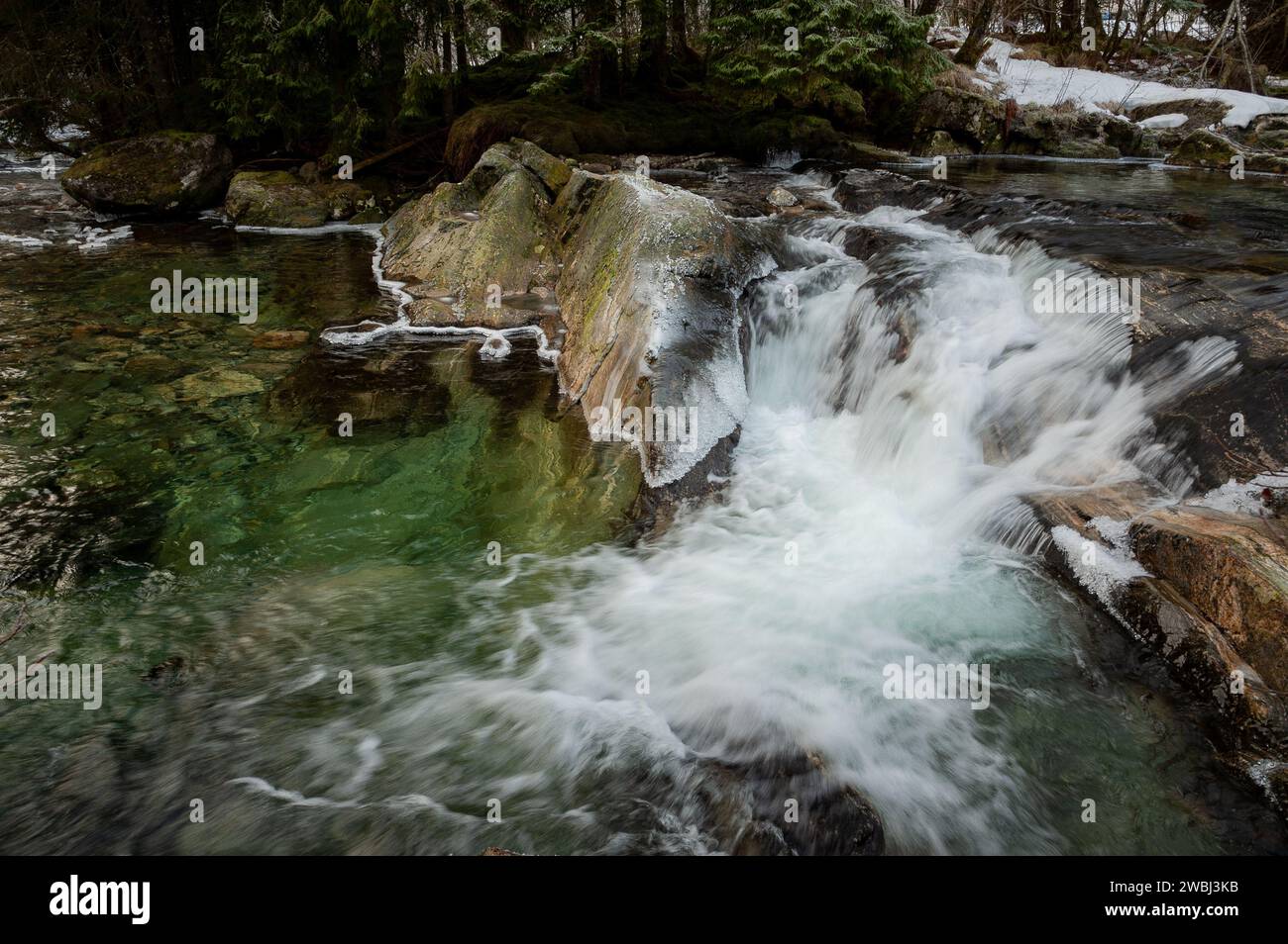 A serene mountain stream flows over moss-covered rocks with patches of snow clinging to the forested banks. Stock Photo
