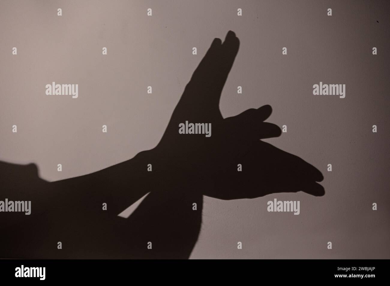 Child hands making bird on the wall, shadoows, game with shadows on the wall Stock Photo