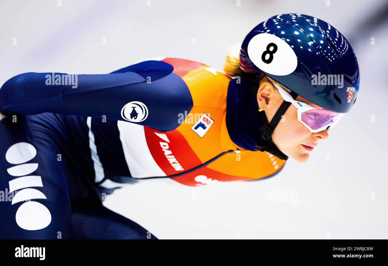 Short trackers hi-res stock photography and images - Alamy