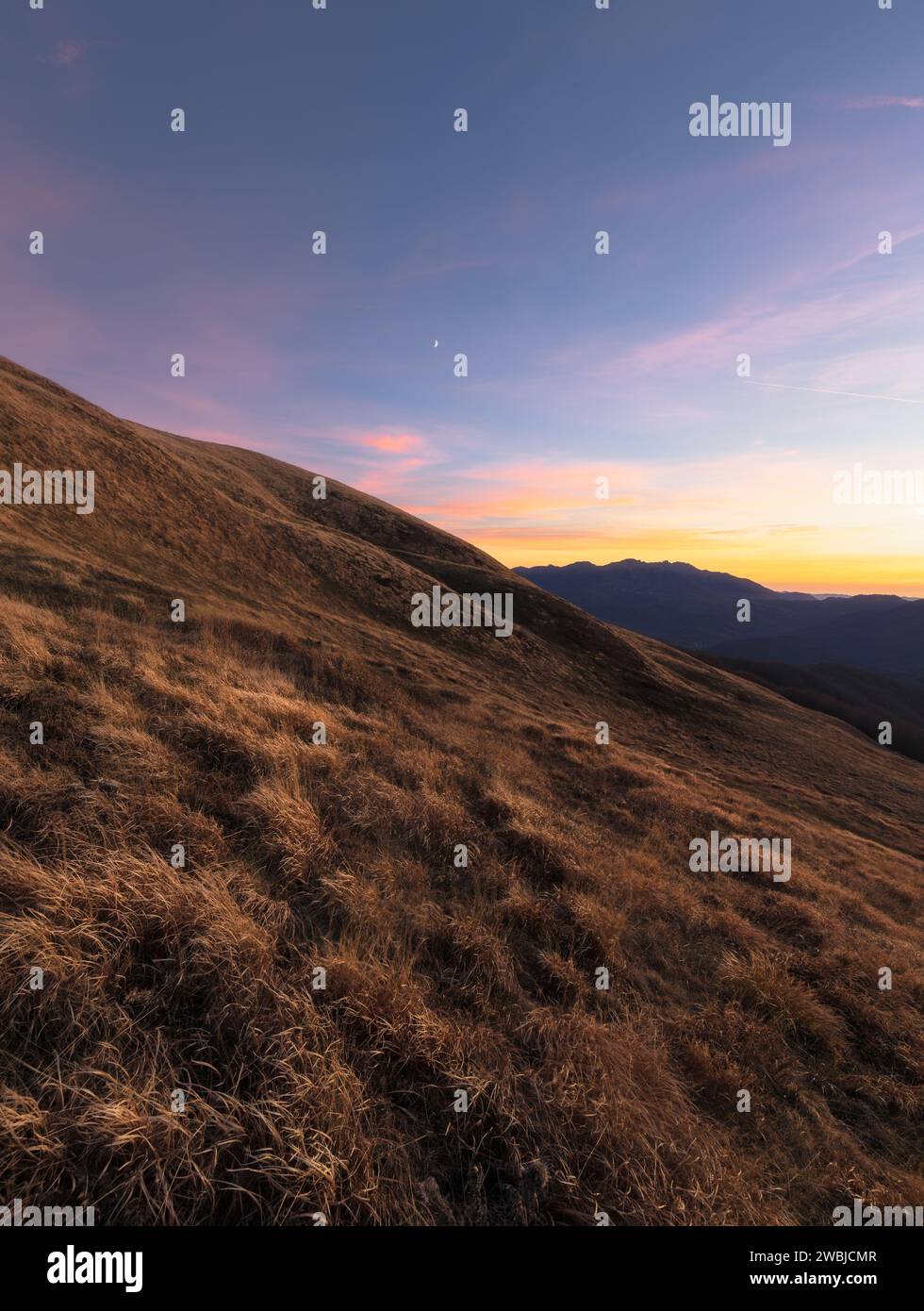 Luna di colore hi-res stock photography and images - Alamy