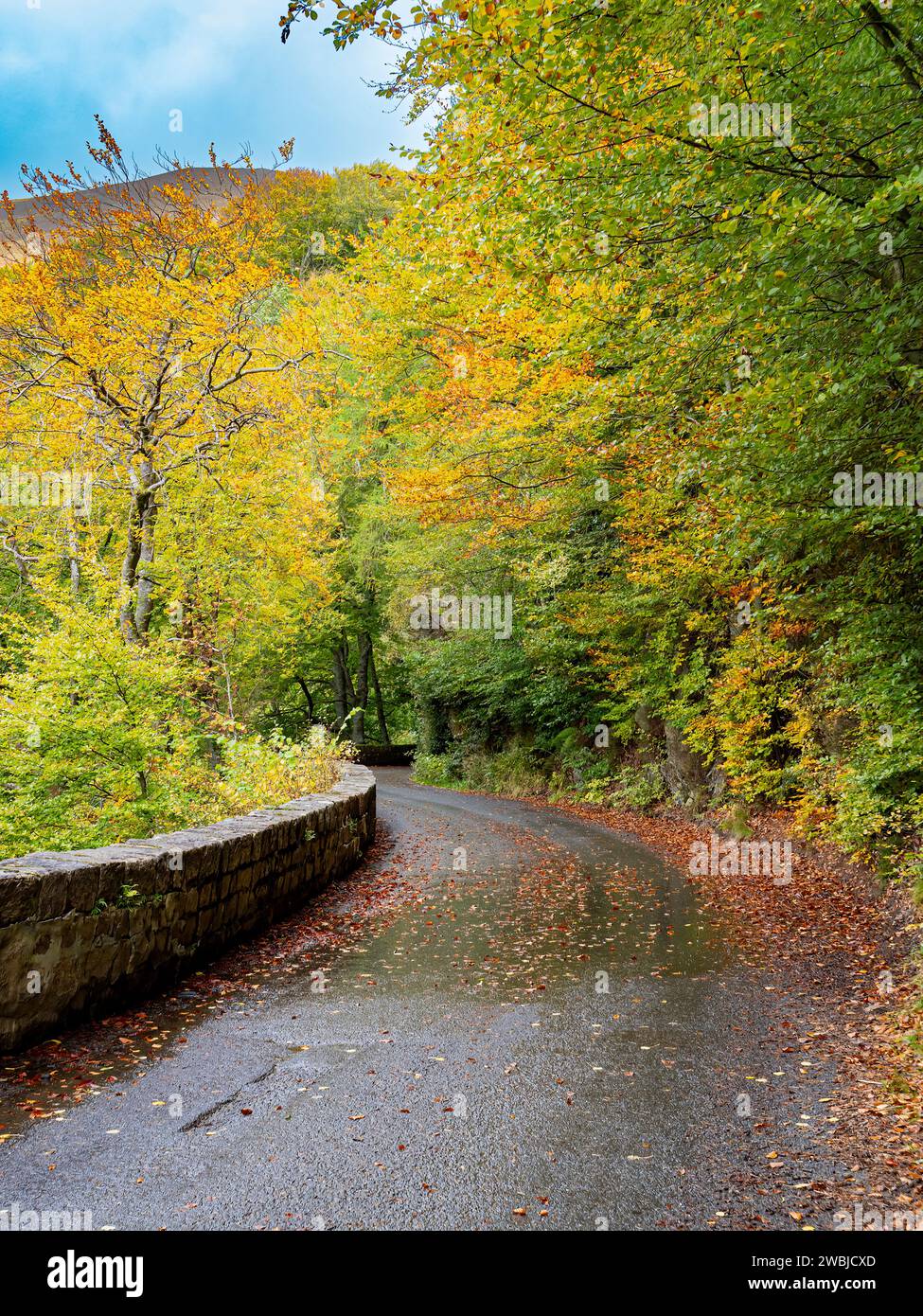 Autumn colours of Glen Lyon near Fortingall Perthshire, Scotland, UK Stock Photo