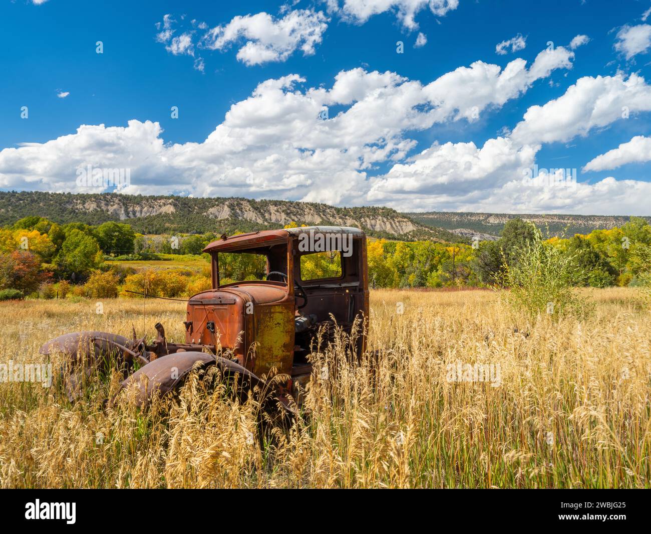 An aged and weathered pickup truck abandoned in a vast expanse of lush, overgrown grass Stock Photo
