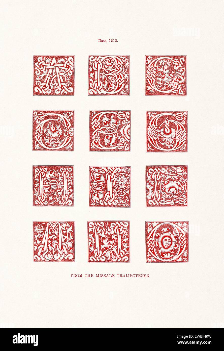 Medieval Alphabet initials. 19th-century book illustration showcasing ancient initials and decorative elements from medieval alphabets. Stock Photo