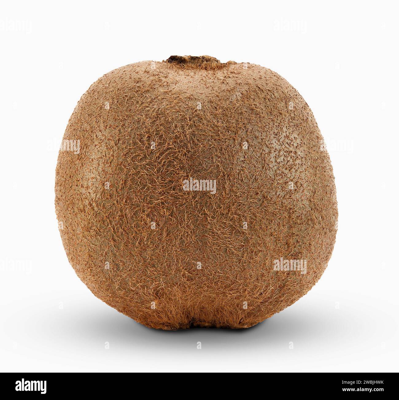 Kiwi tropical hi-res stock photography and images - Alamy