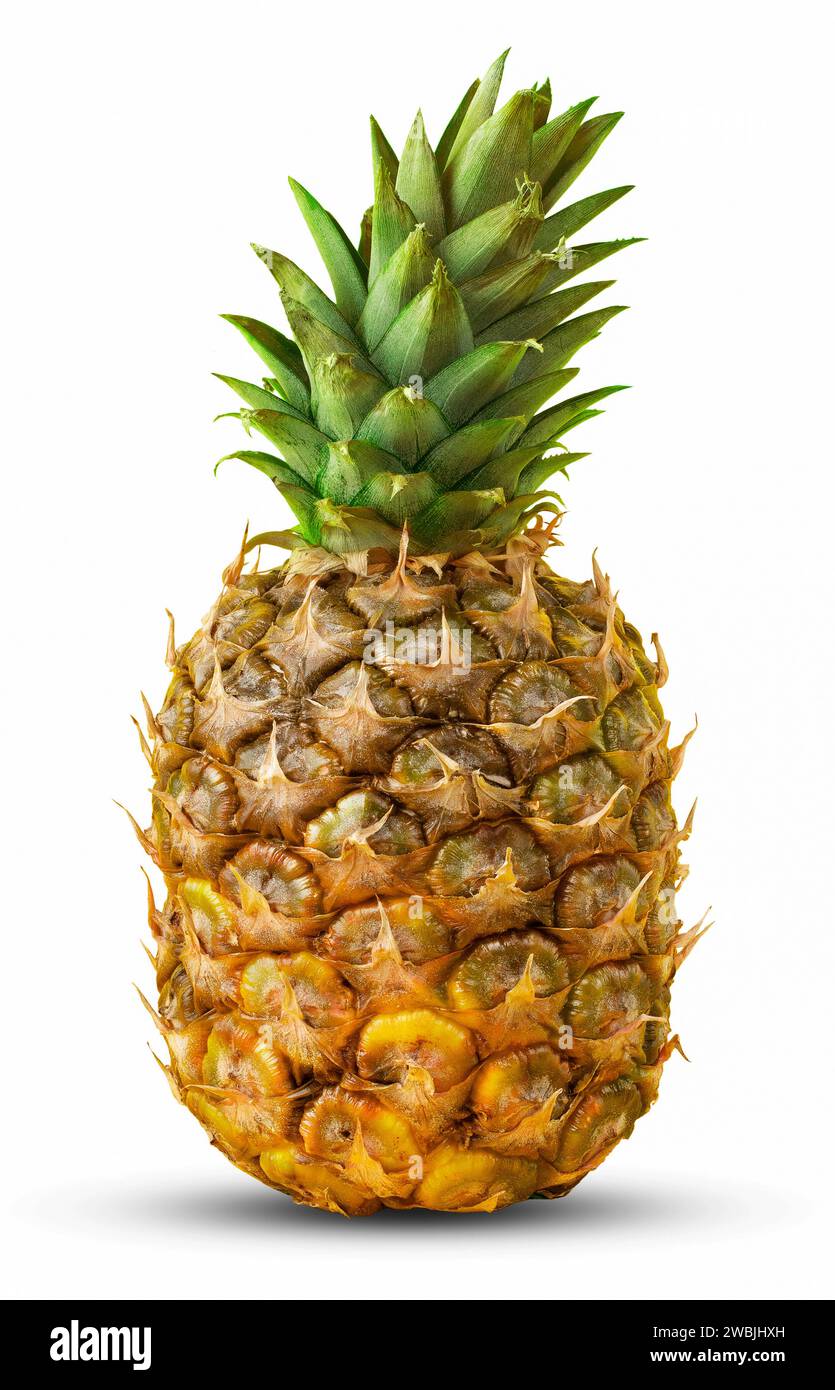 Whole pineapple fruit isolated on white. Tropical fruit. Stock Photo