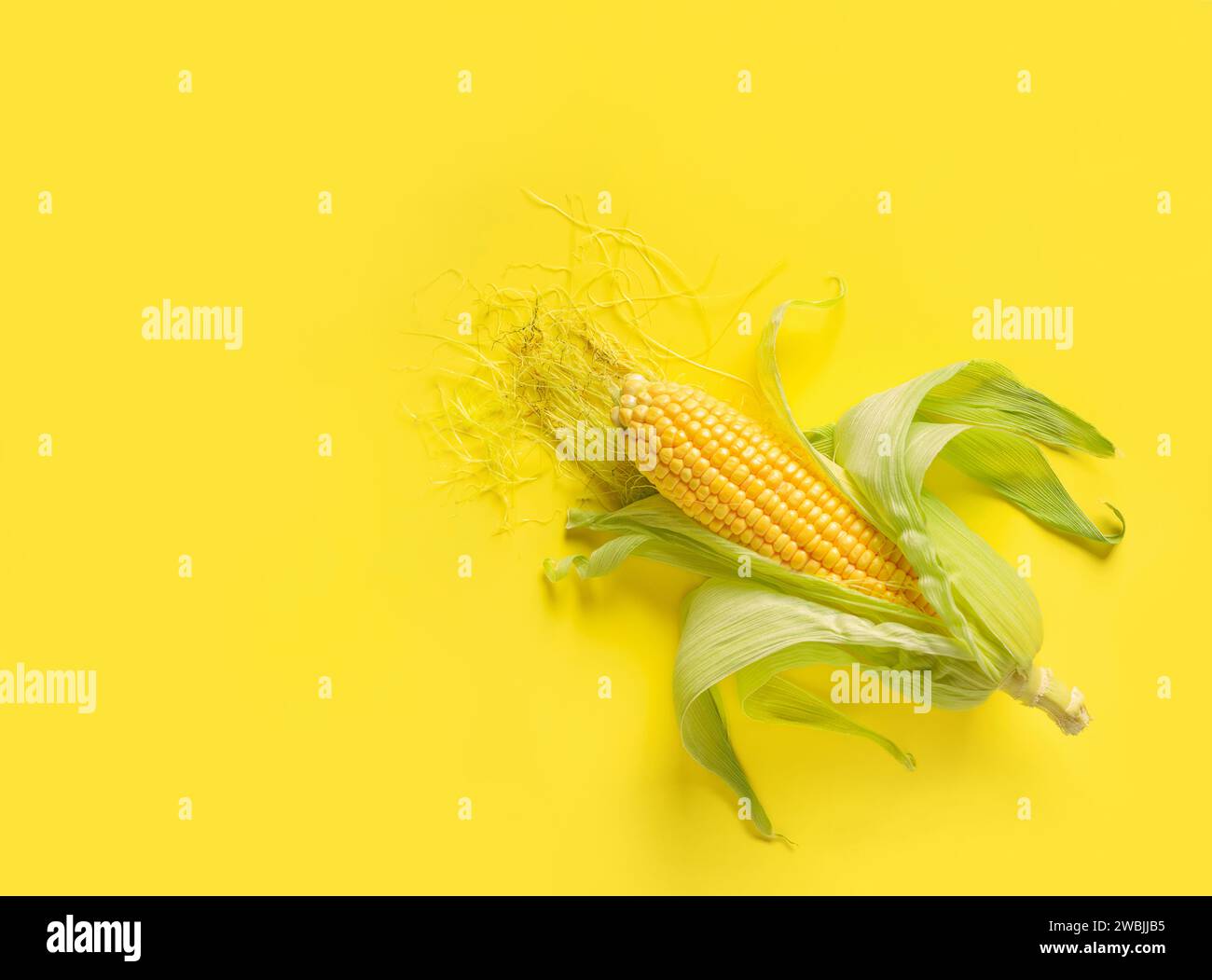 Fresh corn on cobs, closeup Stock Photo