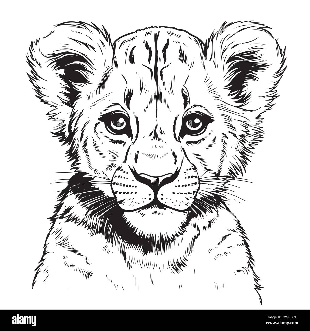 Little lion cub head hand drawn sketch illustration, Wild animals Stock