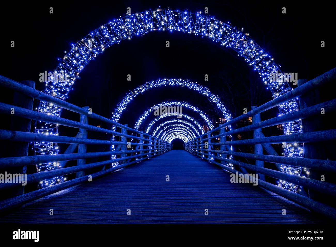 Illuminated bridge as part of the winter lights at Centre Parcs, Woburn