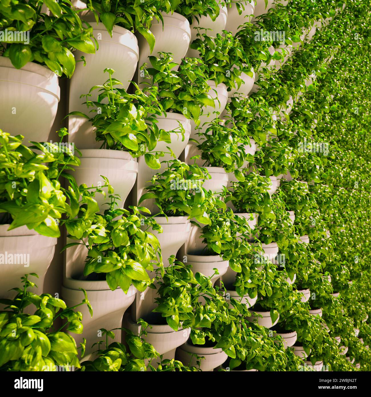 Discover a thriving vertical garden wall, an urban oasis adorned with 