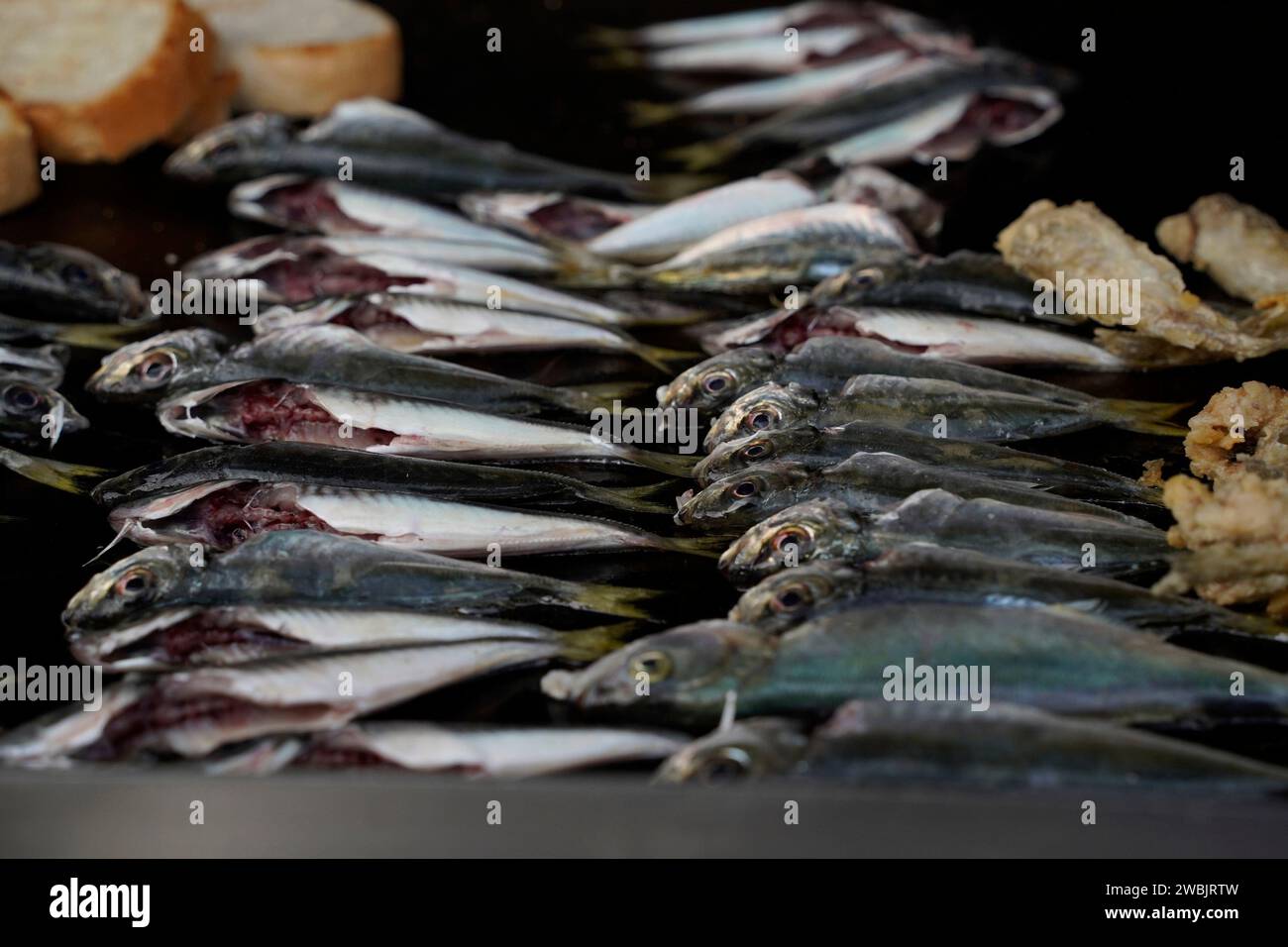 Anadolu Kavagi village fresh fish restaurant bosphorus cruise turkey