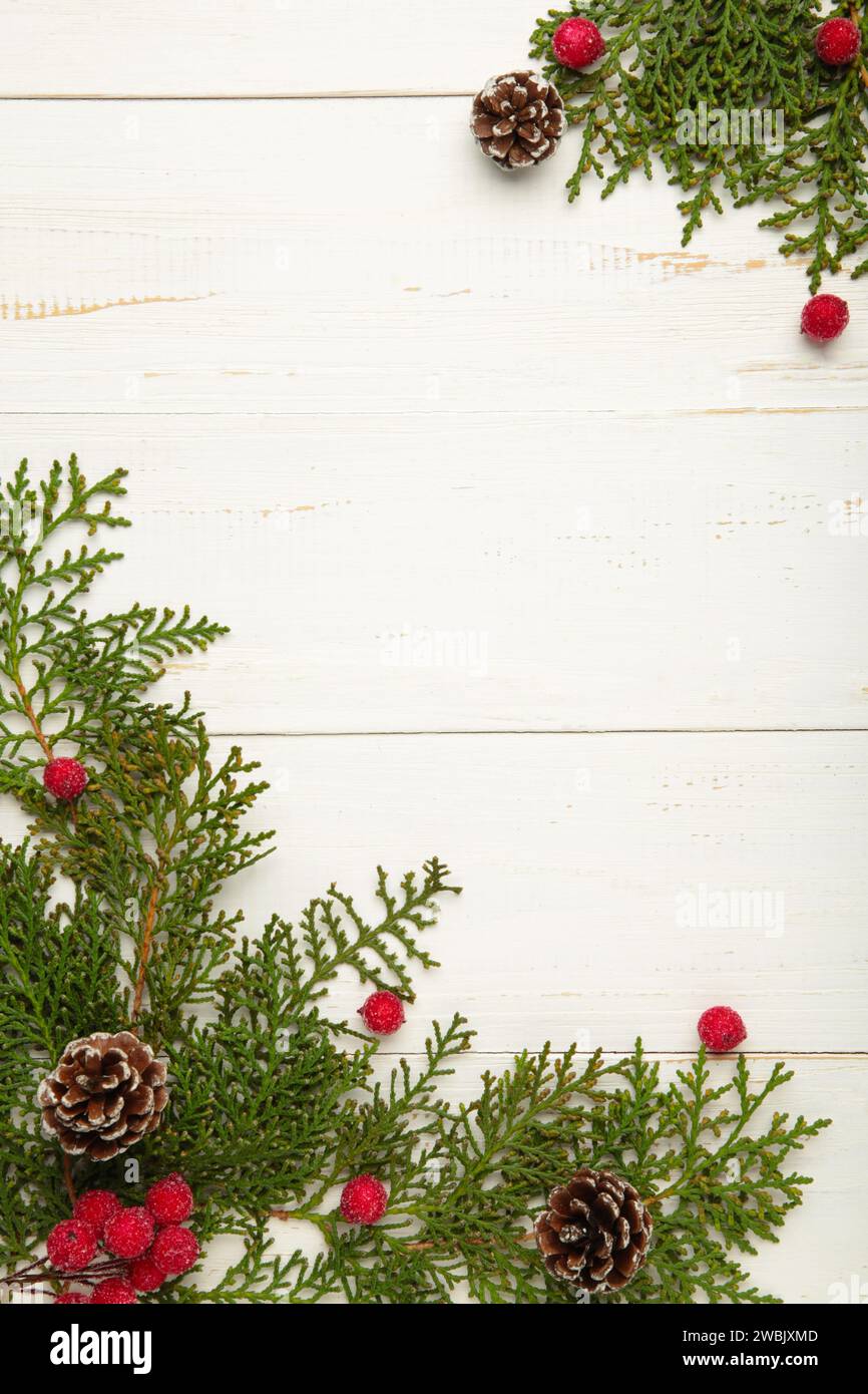 Clear white background with thuja branches. Place for text. Flat lay, top view. Stock Photo