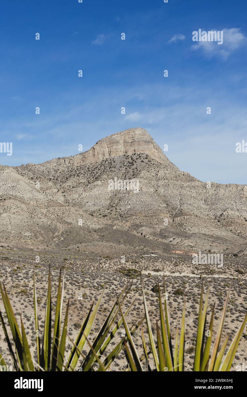 Red Rock Canyon in the desert outside of Las Vegas, Nevada. Stock Photo