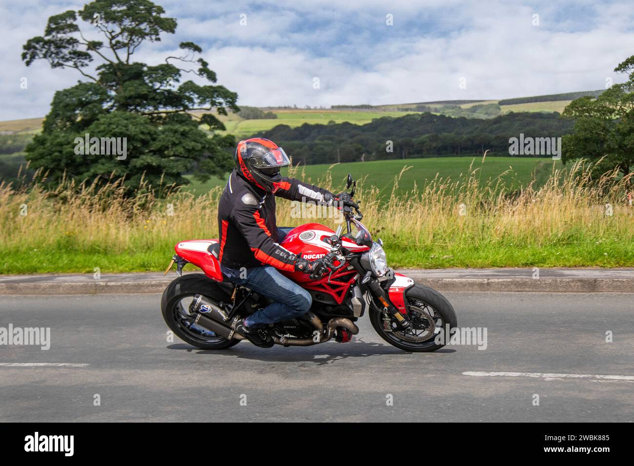 Ducati monster online 1198