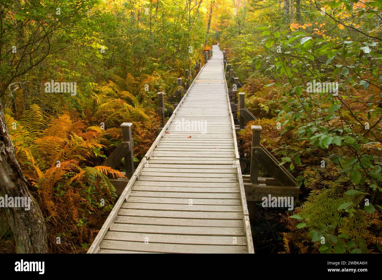 Orono trail hi-res stock photography and images - Alamy