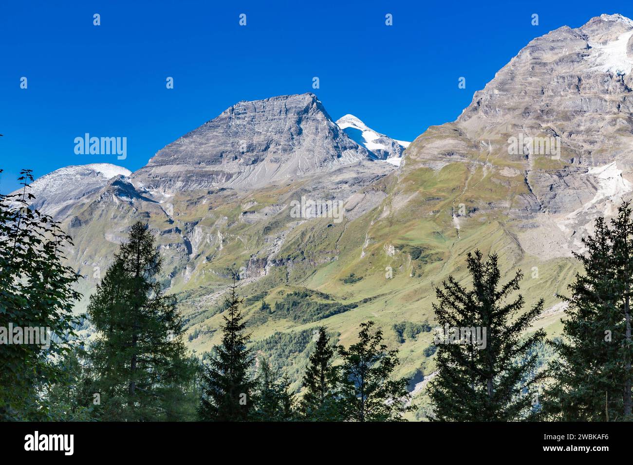 View of the mountains, Fuscher Breitkopf, 3154 m, Hohe Dock, 3348 m, Großer Bärenkopf, 3396 m, Vorderer and hinterer Bratschenkopf, 3401 and 3413 m, Grossglockner High Alpine Road, Hohe Tauern National Park, Austria, Europe Stock Photo