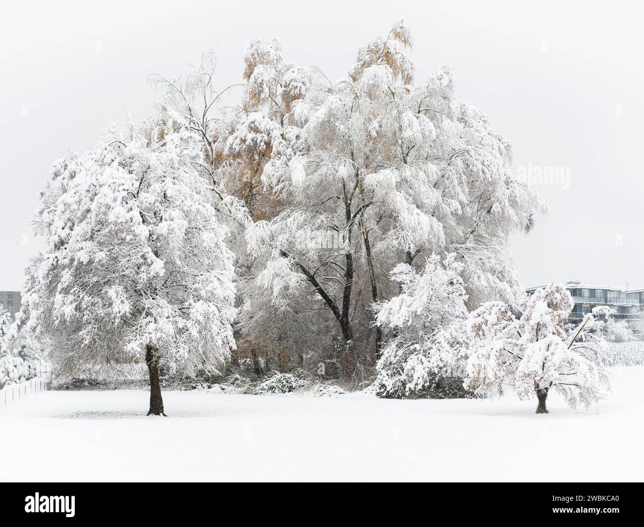 Winter landscape hi-res stock photography and images - Alamy