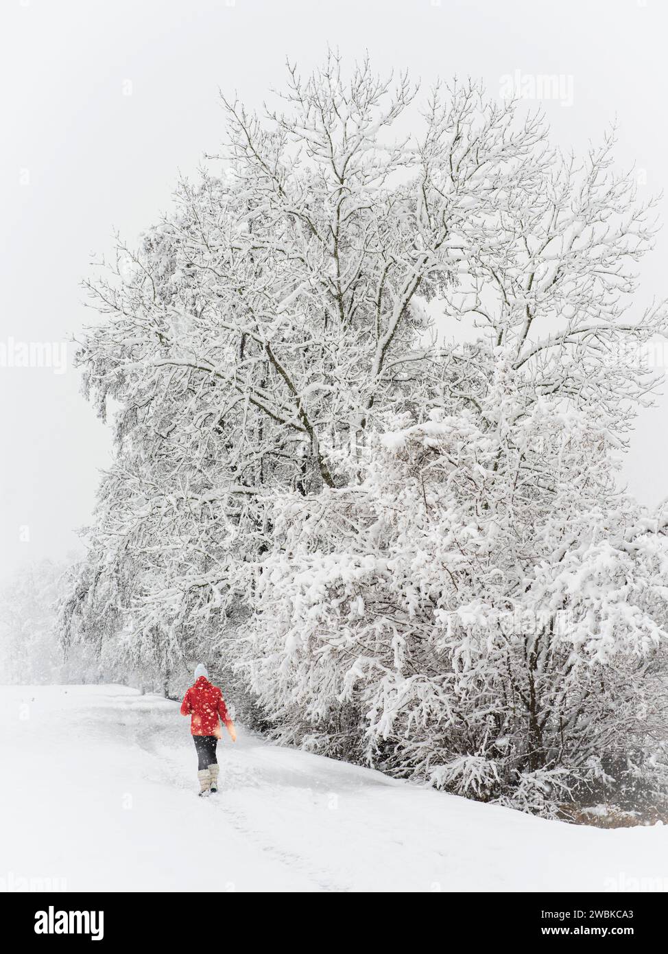 Red Jacket Snow Red jacket hi-res stock photography and images - Alamy