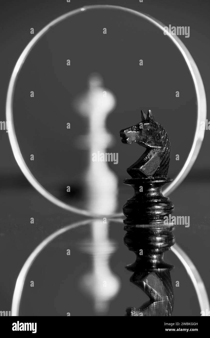 Chess pieces, king blurred in the mirror, black horse in front of it Stock Photo