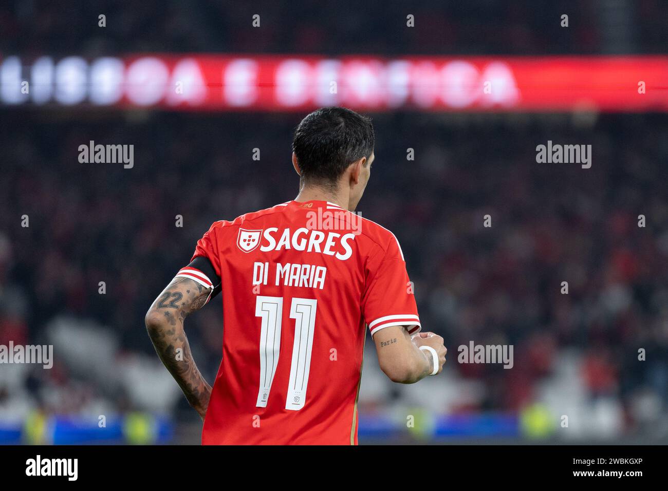 adidas Benfica Maillot Extérieur 2024-2025
