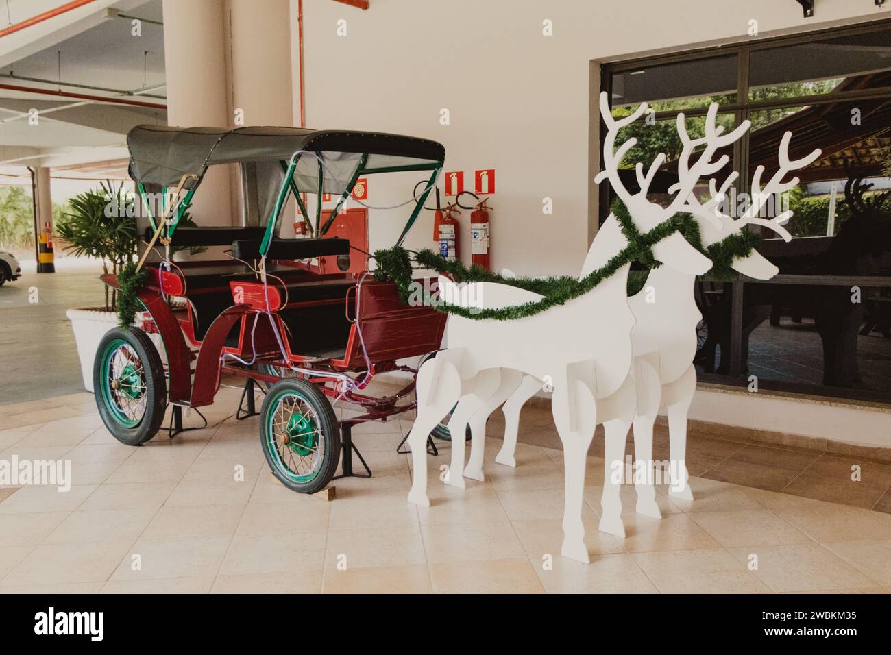 carriage with white christmas reindeer Stock Photo