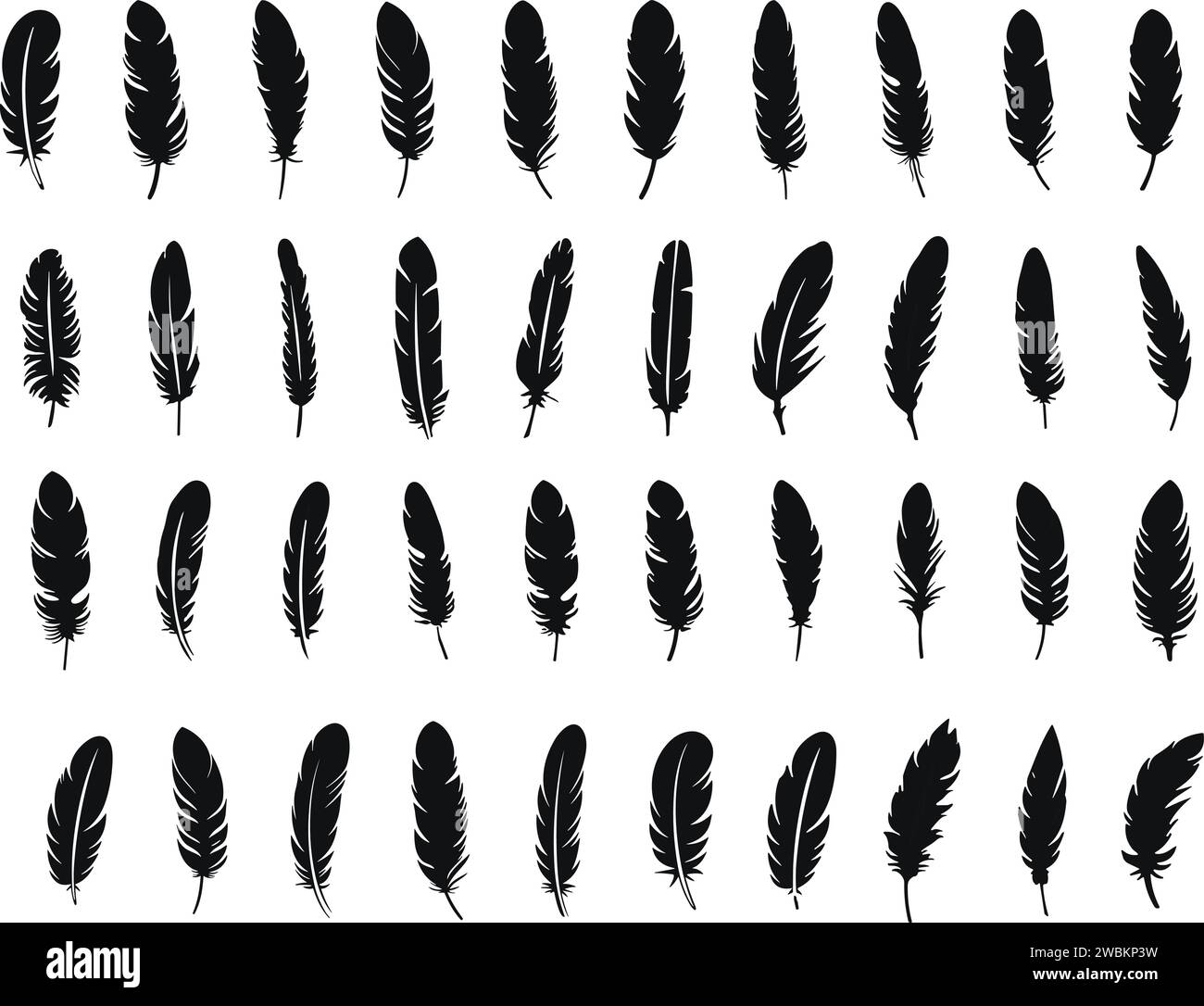 Set of Bird Feather. Feathers vector in a flat style. Pen icon. Black ...