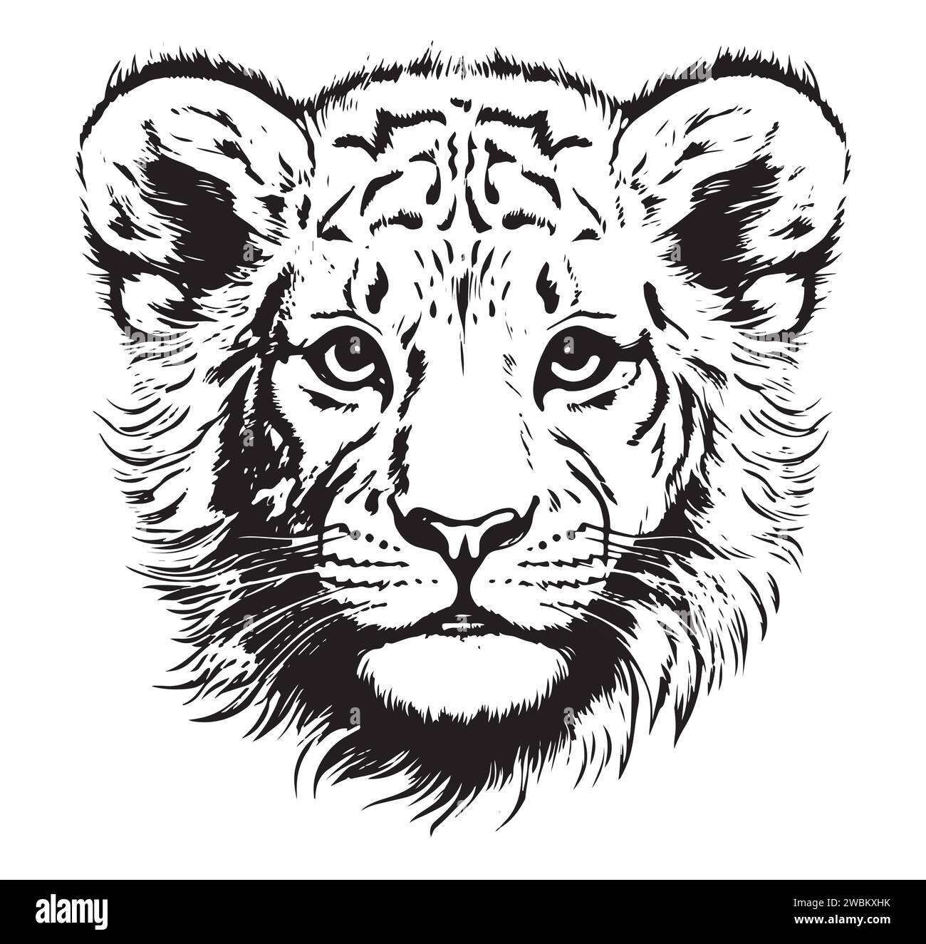 Little lion cub head hand drawn sketch illustration, Wild animals Stock