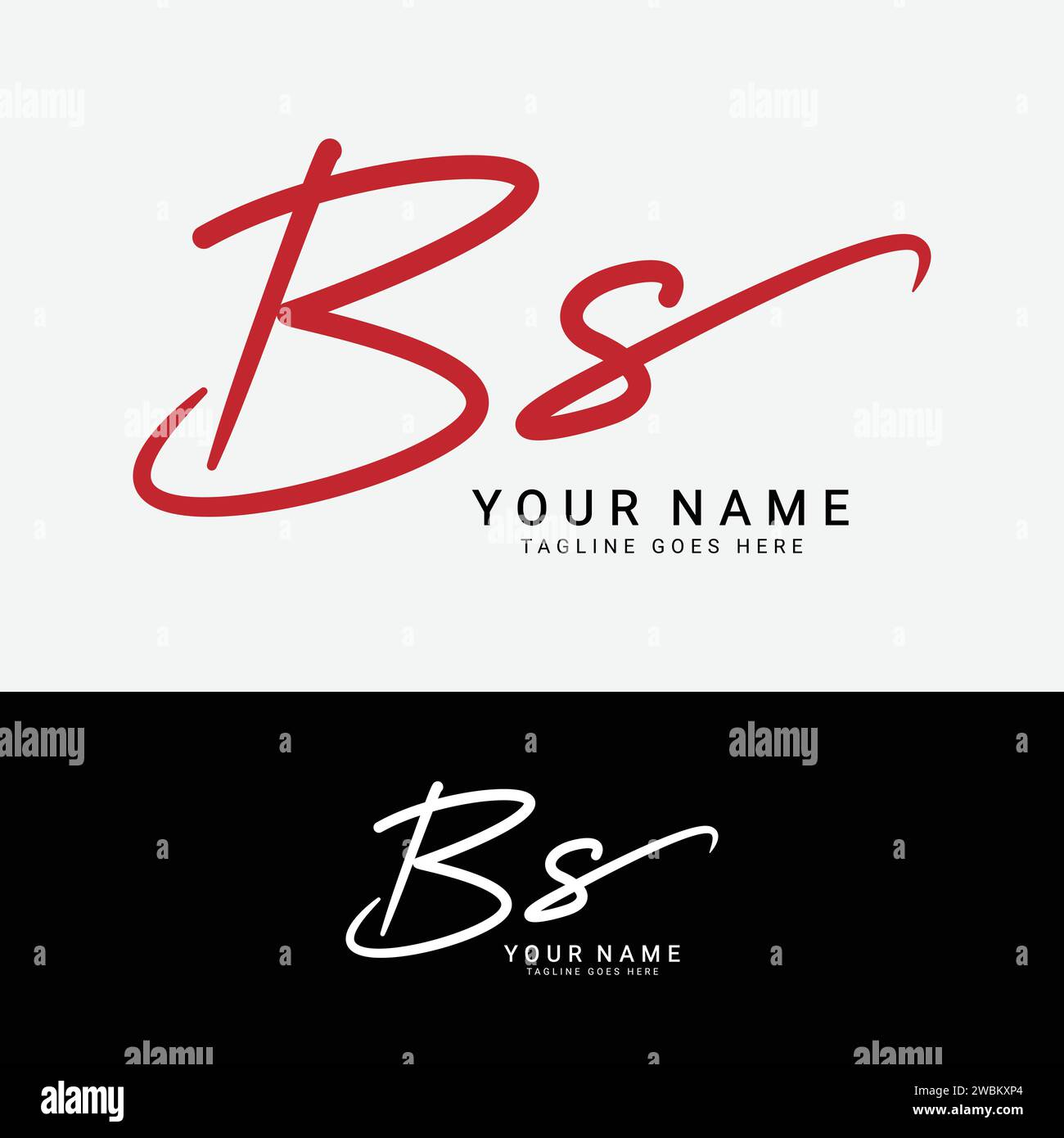 B, S, BS Initial handwriting or handwritten letter logo for identity. Logo with signature, wedding, fashion, floral, botanical and hand drawn in style Stock Vector