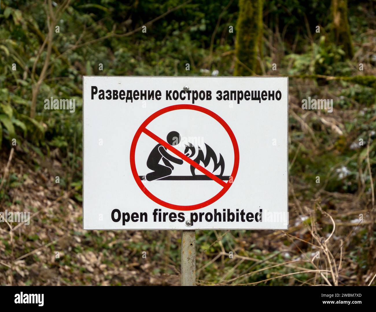 Warning sign "No fires allowed" in the forest Stock Photo Alamy