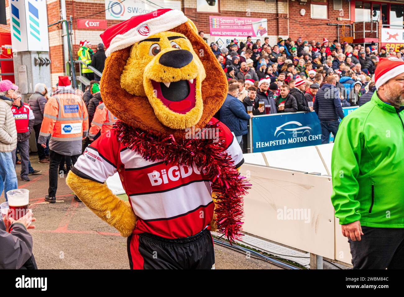 Kingsley the Gloucester Rugby mascot at Kingsholm Stadium, home of Gloucester Rugby, before the match with Northampton on 23/12/2023 Gloucester, UK Stock Photo